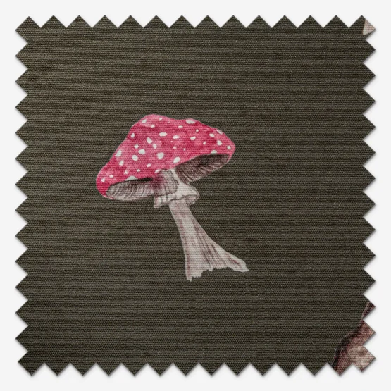 Sonova Studio Mushroom Forage Bark roller