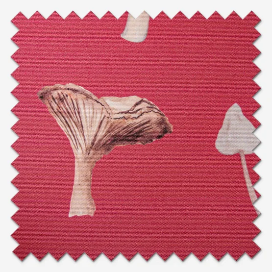 Sonova Studio Mushroom Forage Red roller