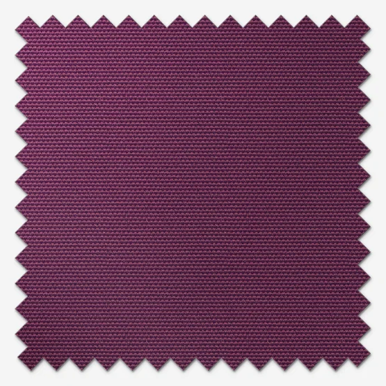 Deluxe Plain Plum roller