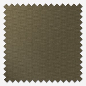Coulisse Berlin Blackout Pine