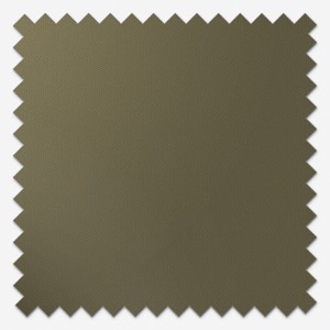 Coulisse Berlin Pine