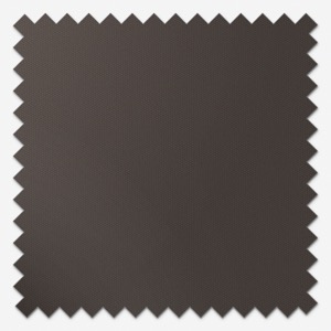 Coulisse Berlin Raven