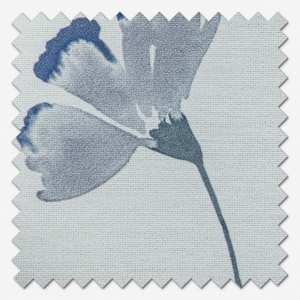 Akita Dawn