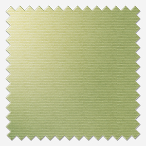 Palette Green