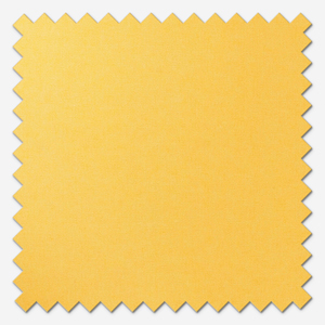 Carnival Blackout Ochre