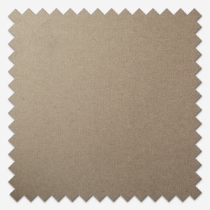 Carnival Blackout Praline