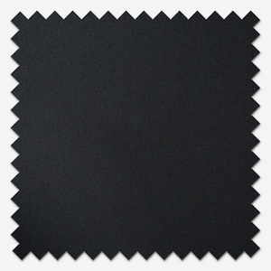 Carnival Blackout Raven