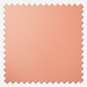 Carnival Blackout Terracotta