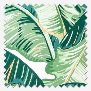 Palm Leaf