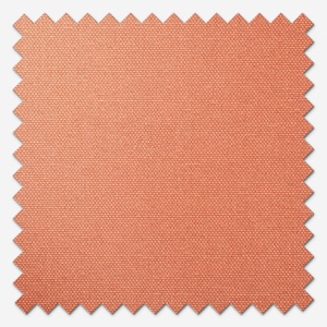 Pop Burnt Orange