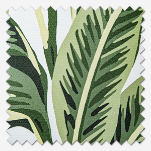 Tropical Palm Aloha