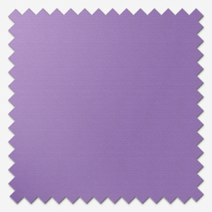 Sonova Studio Essenza Lilac