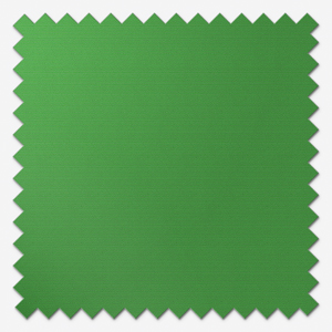 Sonova Studio Essenza Shamrock Green