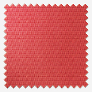 Deluxe Plain Coral