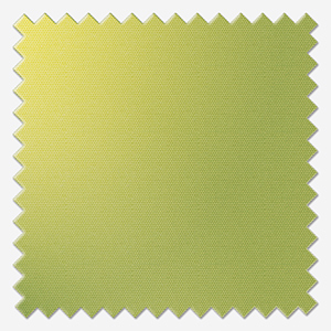 Signature Plain Lime