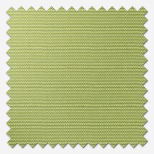 Deluxe Plain Lime