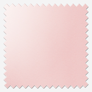 Signature Plain Peony Pink