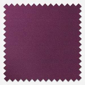 Deluxe Plain Plum