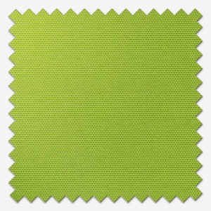 Supreme Blackout Apple Green