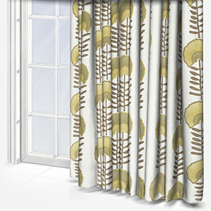 Scandi Floral Pampas