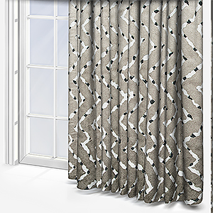 Zorro Desert Curtain