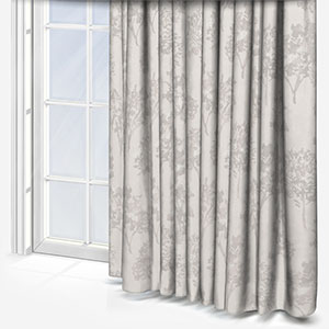 Acer Ivory Curtain