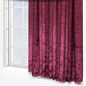 Venice Plum