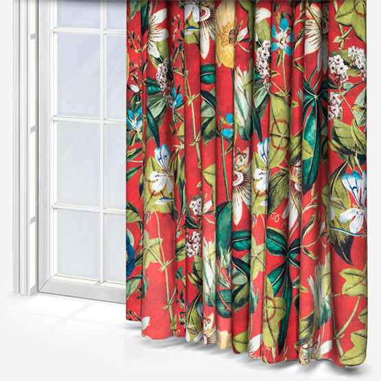 Passiflora Rouge Curtain