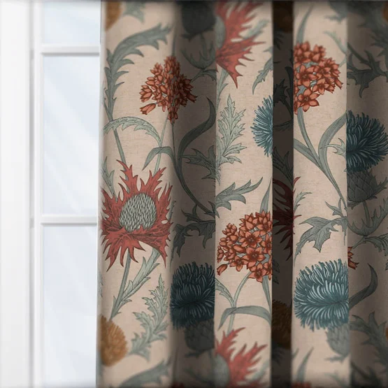 Acanthium Autumn curtain