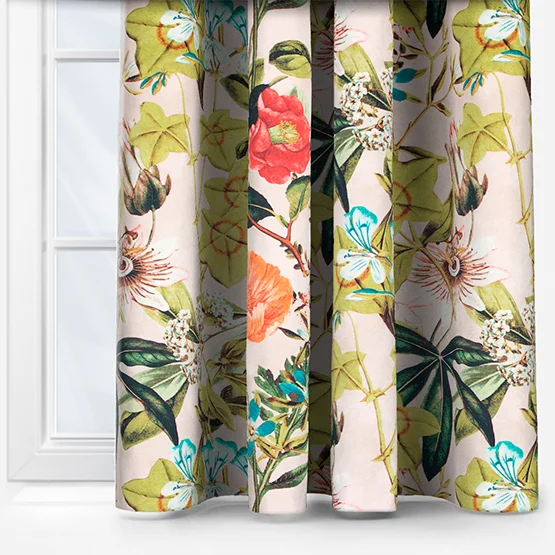 Passiflora Blush curtain