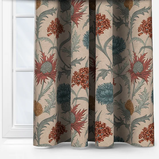 Acanthium Autumn curtain
