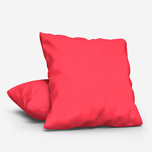 Accent Coral