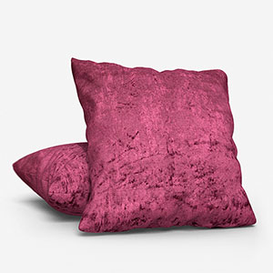 Venice Plum