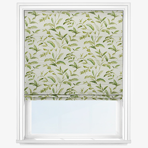 Oasis Spruce