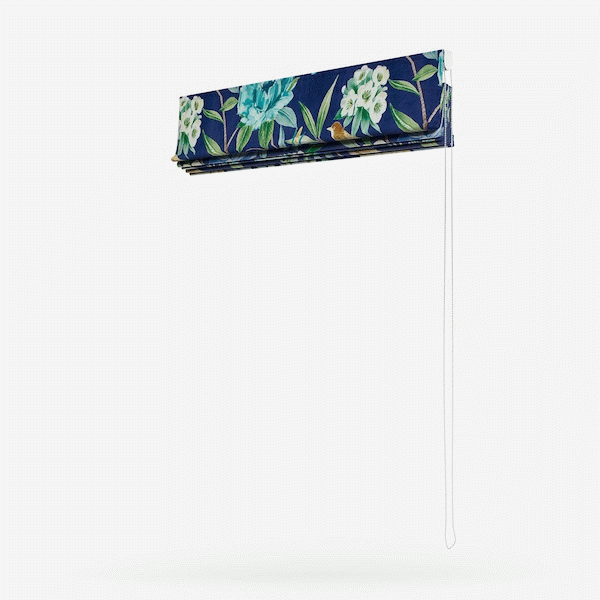 Shangri La Navy