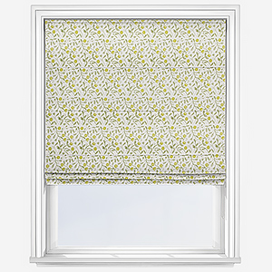 Barbara Cucumber Roman Blind