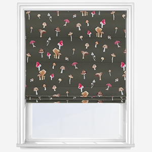 Sonova Studio Mushroom Forage Bark Roman Blind