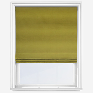 Verona Olive