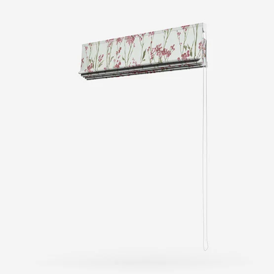 Hawthorn Cranberry roman