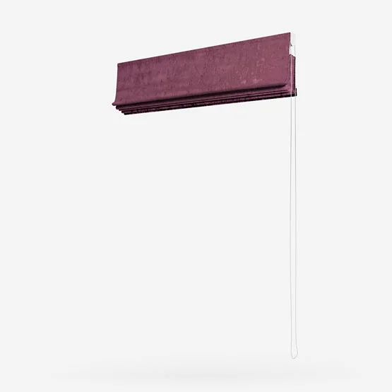 Venice Plum roman