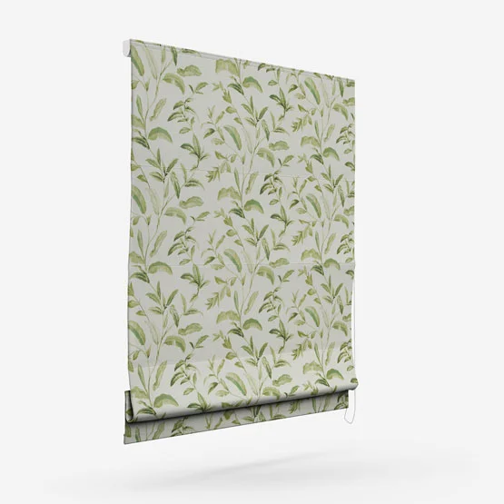 Oasis Spruce roman