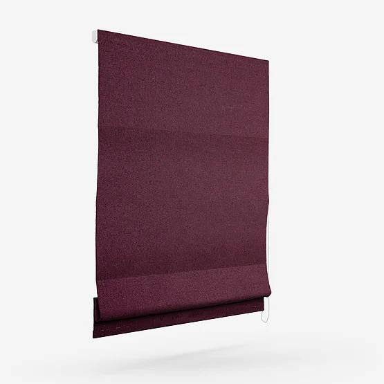 Wexley Plum roman