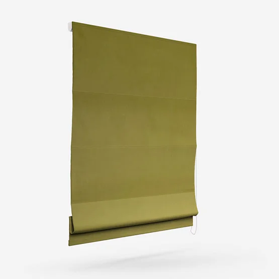 Verona Olive roman