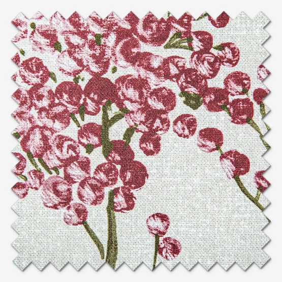 Hawthorn Cranberry roman