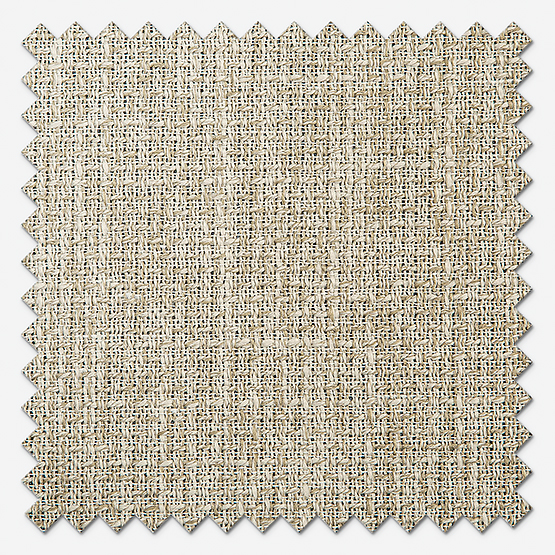 Camengo Knokke Biscuit
