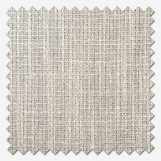 Camengo Knokke Chamois