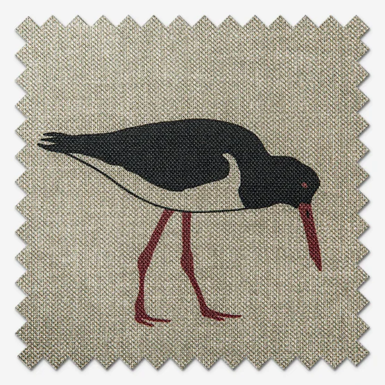 Emily Bond Oyster Catcher Charcoal roman