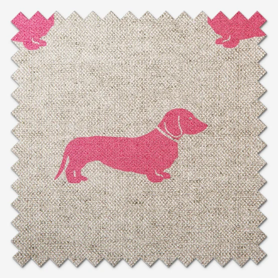 Emily Bond Peggy Raspberry roman