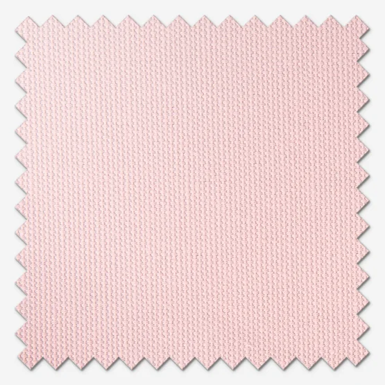 Accent Blush roman
