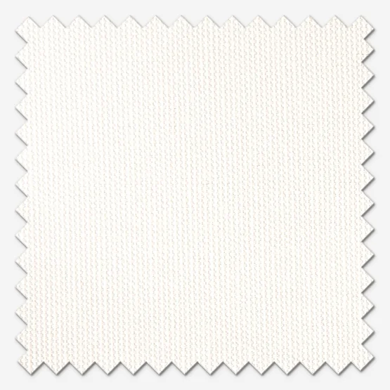 Accent White roman